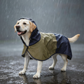 Labrador im dunkelblau-oliven Rainmate Regencape mit Kapuze bei Regen auf nassem Asphalt